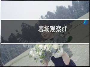 赛场观察cf