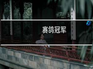 赛鸽冠军