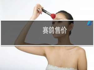 赛鸽售价