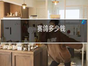 赛鸽多少钱