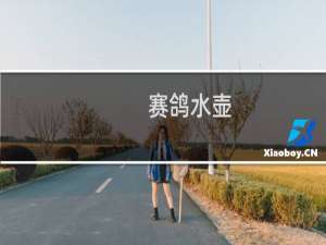 赛鸽水壶