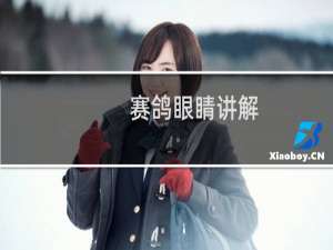 赛鸽眼睛讲解