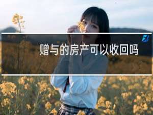 赠与的房产可以收回吗
