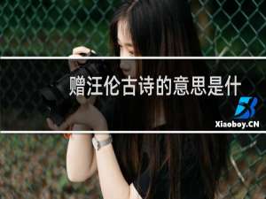 赠汪伦古诗的意思是什么（赠汪伦古诗的意思）