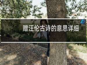 赠汪伦古诗的意思详细（赠汪伦古诗的意思）