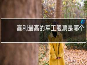 赢利最高的军工股票是哪个