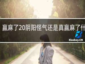 赢麻了 阴阳怪气还是真赢麻了什么梗