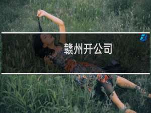 赣州开公司