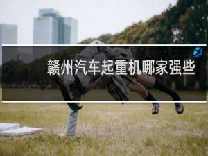 赣州汽车起重机哪家强些