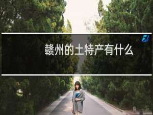 赣州的土特产有什么