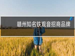 赣州知名铁观音招商品牌