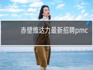 赤壁维达力最新招聘pmc