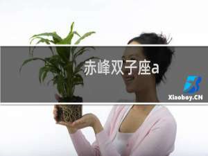 赤峰双子座a