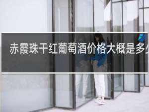 赤霞珠干红葡萄酒价格大概是多少啊