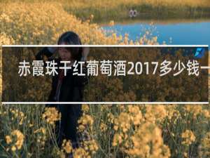 赤霞珠干红葡萄酒2017多少钱一瓶