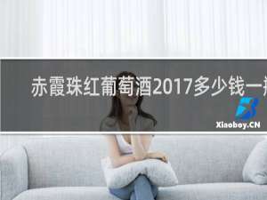 赤霞珠红葡萄酒2017多少钱一瓶