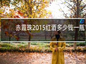 赤霞珠2015红酒多少钱一瓶