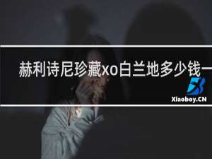 赫利诗尼珍藏xo白兰地多少钱一瓶