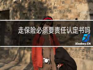 走保险必须要责任认定书吗