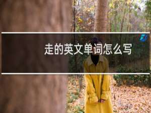 走的英文单词怎么写