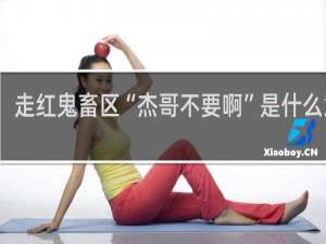 走红鬼畜区“杰哥不要啊”是什么意思（附：杰哥原版教育片视频无水印）什么梗
