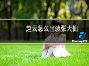 赵云怎么出装张大仙