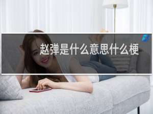 赵弹是什么意思什么梗