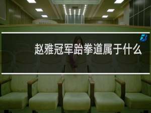 赵雅冠军跆拳道属于什么企业