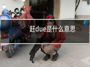 赶due是什么意思，赶due和赶ddl是同一个意思吗什么梗