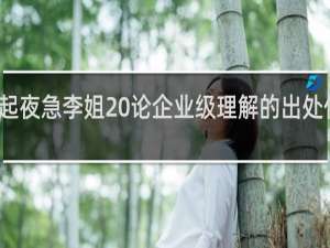起夜急李姐 论企业级理解的出处什么梗