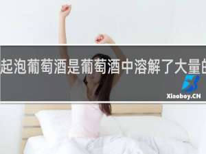 起泡葡萄酒是葡萄酒中溶解了大量的什么