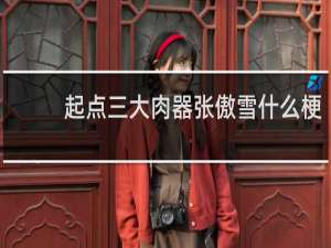起点三大肉器张傲雪什么梗