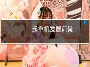 起重机发展前景