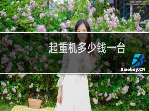 起重机多少钱一台