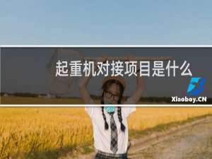 起重机对接项目是什么