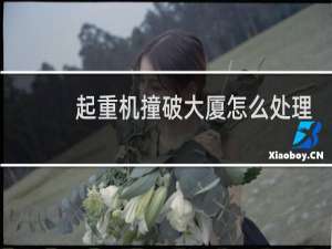 起重机撞破大厦怎么处理