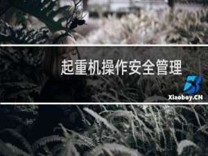 起重机操作安全管理