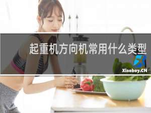 起重机方向机常用什么类型