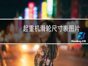 起重机滑轮尺寸表图片