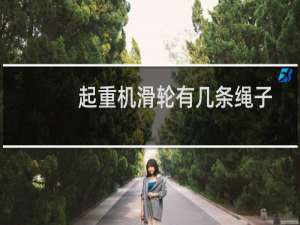 起重机滑轮有几条绳子