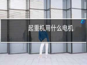 起重机用什么电机