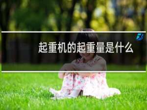 起重机的起重量是什么