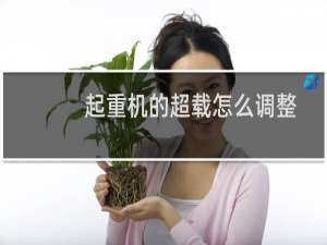 起重机的超载怎么调整