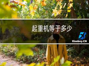 起重机等于多少