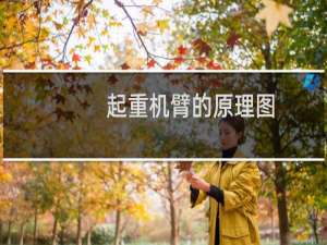 起重机臂的原理图