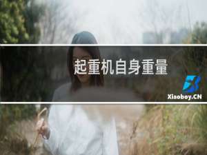 起重机自身重量