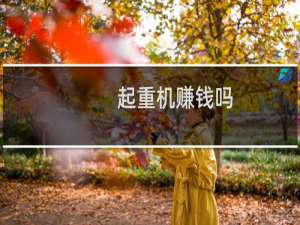 起重机赚钱吗