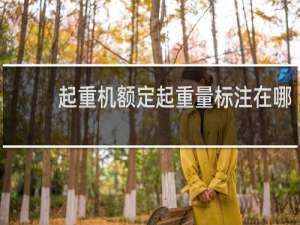 起重机额定起重量标注在哪