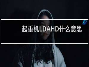 起重机LDAHD什么意思