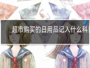 超市购买的日用品记入什么科目